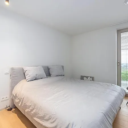 Torino 1 - 0101 + Park. 2